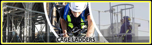 Cage Ladders