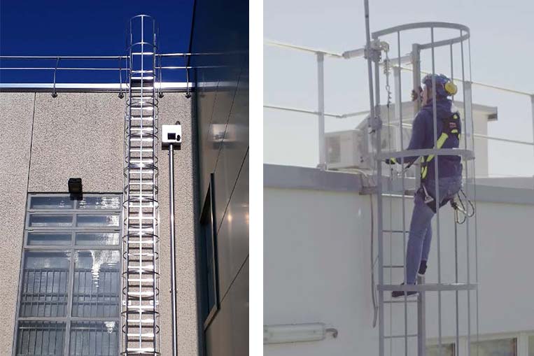 Examples of Cage Ladders